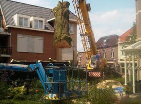 grote_beuk_Lichtenvoorde